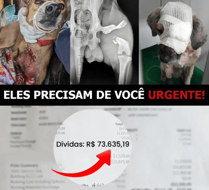 Eles precisam de você urgente